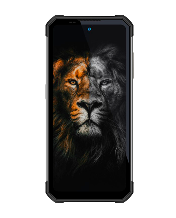 Смартфон Oukitel WP17 8/128Gb